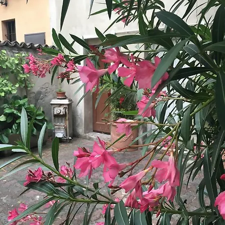 Il Ghirotondo - Trilocale In Centro *